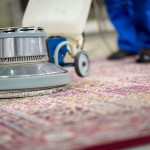 professional carpet deep cleaning